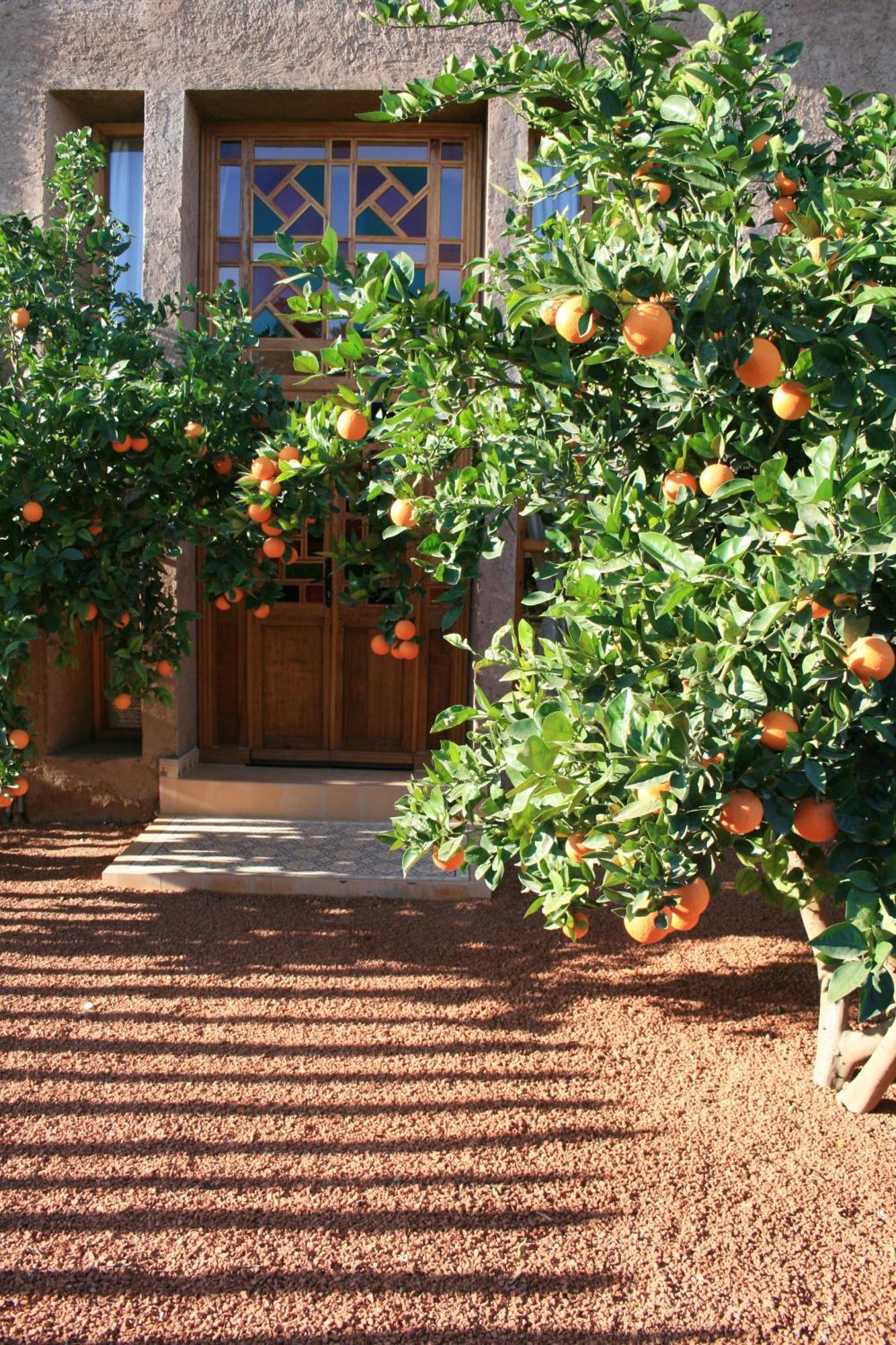 Casa Taos Otel Douar Azib el goundafi Dış mekan fotoğraf